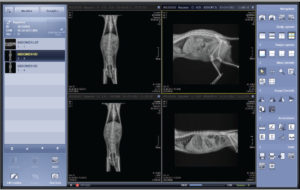 Veterinary X-Ray Software