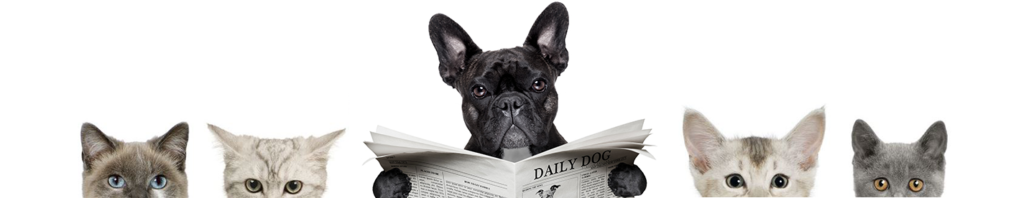 Veterinary X-Ray News, Veterinary X-Ray Equipment, Sell Used Veterinary Equipment, Buy Used Veterinary Equipment