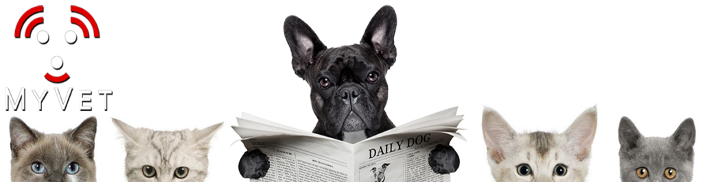Veterinary X-Ray News, Veterinary X-Ray Equipment, Sell Used Veterinary Equipment, Buy Used Veterinary Equipment