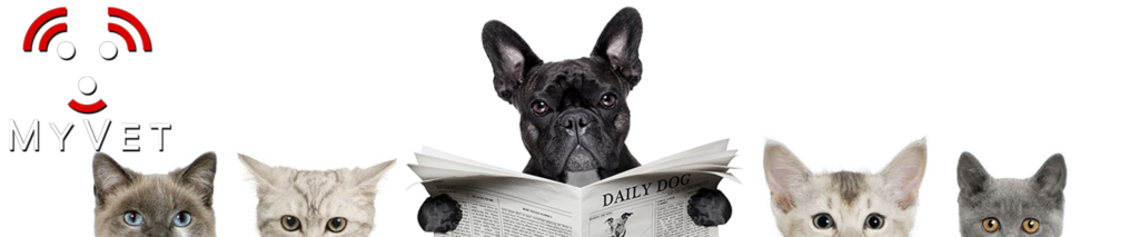 Veterinary X-Ray News, Veterinary X-Ray Equipment, Sell Used Veterinary Equipment, Buy Used Veterinary Equipment