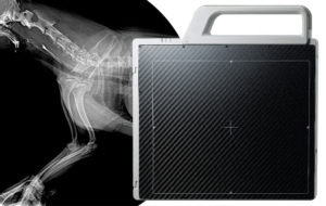 Equine and Exotic Wireless Veterinary Digital Radiography Plate