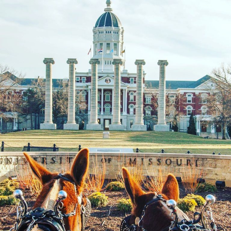 MyVet Imaging Partners with University of Missouri to Promote and