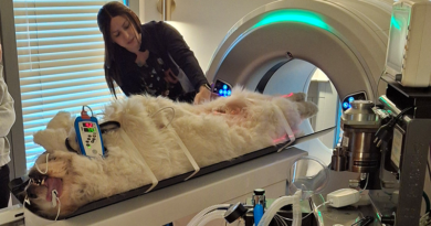 Advanced Diagnostics for New Hampshire: MyVet CT i3D Arrives at Vogel Veterinary Emergency